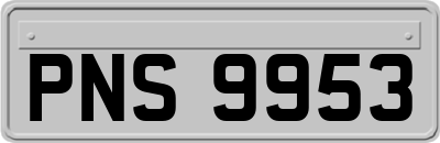 PNS9953
