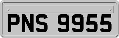 PNS9955