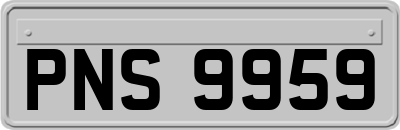 PNS9959