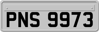 PNS9973