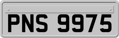 PNS9975