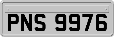 PNS9976