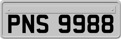 PNS9988