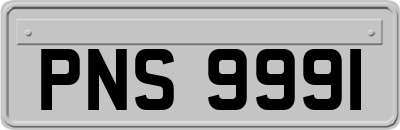 PNS9991