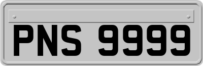 PNS9999