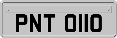 PNT0110