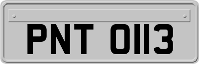 PNT0113