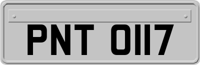 PNT0117