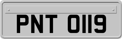 PNT0119