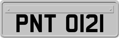 PNT0121