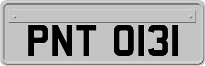 PNT0131