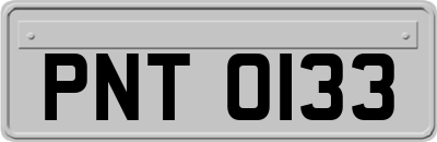 PNT0133