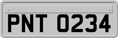 PNT0234