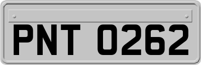 PNT0262
