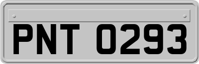 PNT0293