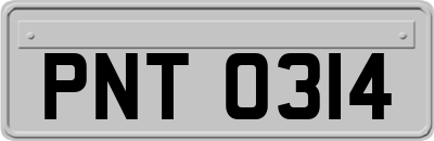 PNT0314