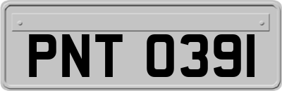 PNT0391