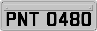 PNT0480