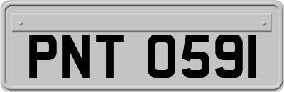 PNT0591