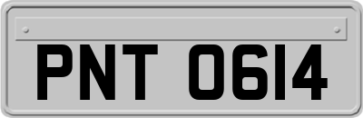 PNT0614