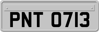 PNT0713