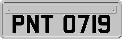 PNT0719