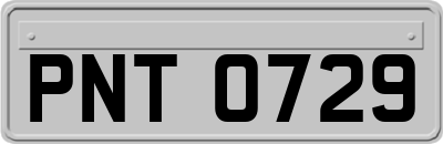 PNT0729