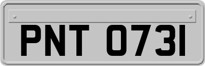 PNT0731