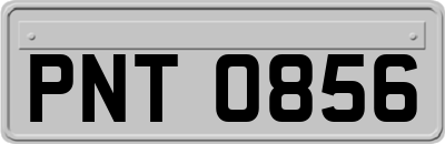 PNT0856