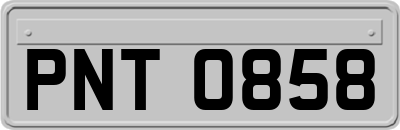 PNT0858
