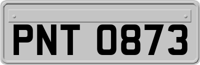 PNT0873