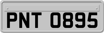 PNT0895