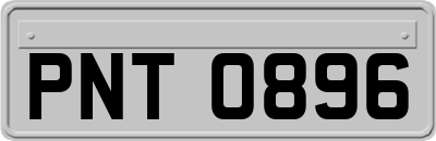 PNT0896