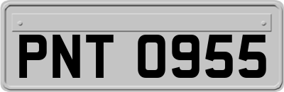 PNT0955