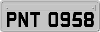 PNT0958