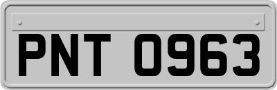 PNT0963
