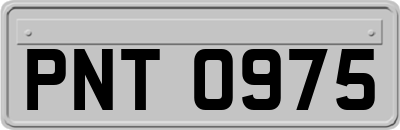 PNT0975