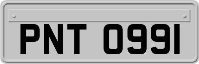 PNT0991
