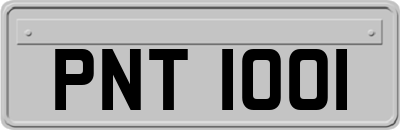 PNT1001