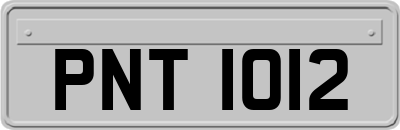 PNT1012