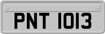 PNT1013