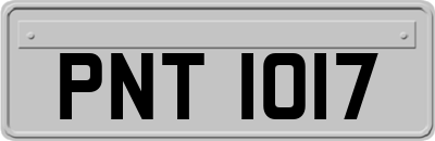 PNT1017