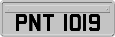 PNT1019