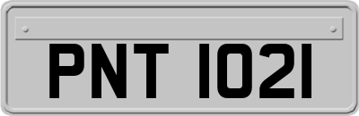 PNT1021