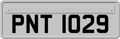 PNT1029