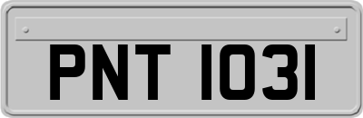 PNT1031