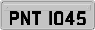 PNT1045