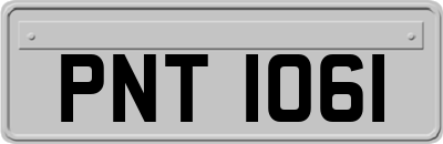 PNT1061