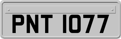 PNT1077