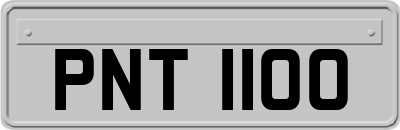 PNT1100